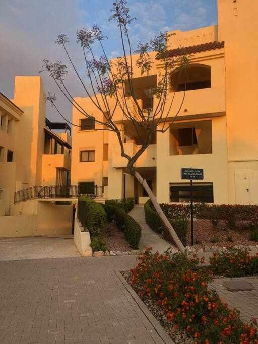 Casa Palmera San Javier Eksteriør billede
